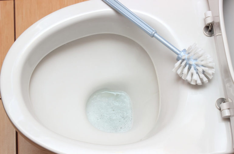 clean a toilet with borax