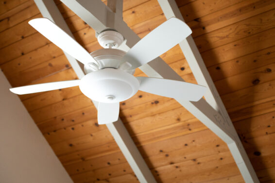 Clean ceiling fan