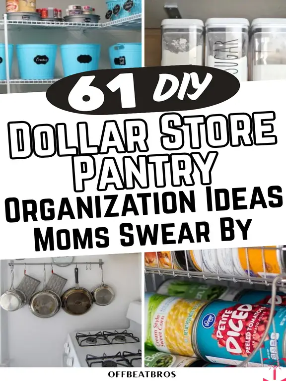 Useful DIY Dollar Store Pantry Organization Ideas And Hacks